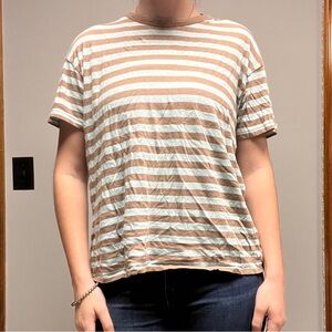 American Eagle Outfitters Brown and Blue Striped Tee